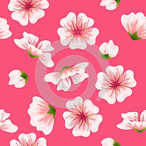 Vector seamless sakura pink pattern