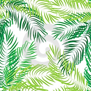 Vector seamless summer palm leaves on white background