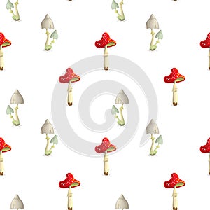 vector seamless toadstool and fly mushroom pattern on white backdrop. poisonous mushroom background. Fly agaric and toadstool in