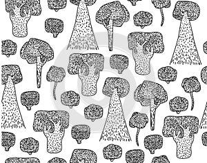 Vector seamless trees pattern, black silhouettes.