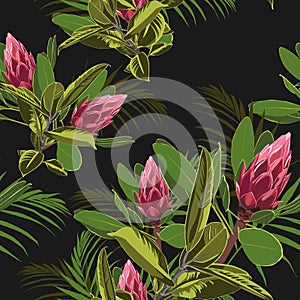 Vector seamless tropical pattern, vivid tropic foliage, with ficus elastic and palm leaves, red protea flower in bloom.