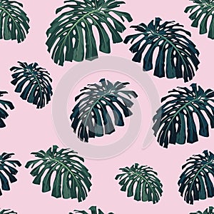 Vector seamless tropical pattern, vivid tropic foliage, with monstera leaves. Pink background.
