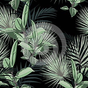 Vector seamless tropical pattern, vivid tropic foliage, with palm leaves and greenery ficus elastica.