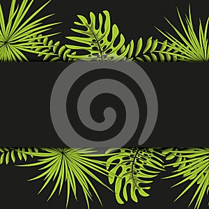 Vector seamless tropical pattern, vivid tropic foliage, with palm leaves. Modern bright summer print design. Black background.