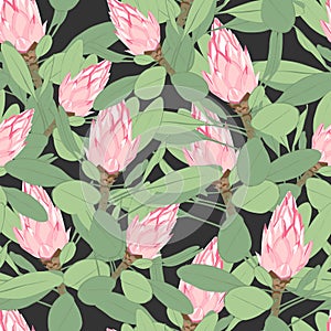 Vector seamless tropical pattern, vivid tropic foliage, with pink protea flower in bloom.