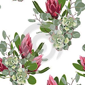 Vector seamless tropical pattern, vivid tropic foliage, with succulents, red protea flower in bloom and dollar silver eucalyptus.