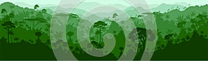 Vector seamless tropical rainforest colombia brazil Jungle background