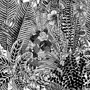 Vector seamless vintage pattern. Exotic flowers and plants.