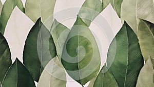 Vector seamless watercolor leaves pattern Nature organic illustration Generated image