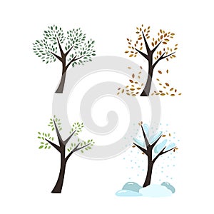 Vector seasons autumn winter spring summer trees leaves tree trunks forest garden icons nature color on white background