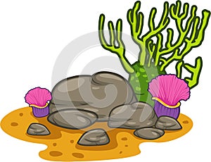 vector Seaweed-coral isolated illustration