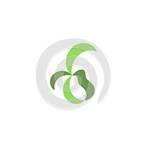 vector seed bean germination icon logo design