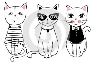 Vector series with cute fashion cats. Stylish kitten set.