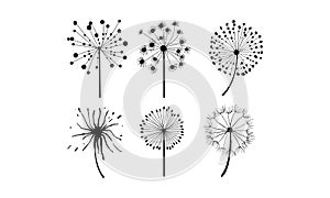 Vector set of 6 dandelions in linear style. Flower with fluffy seeds. Floral theme