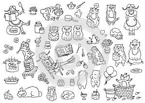 Vector set of adorable characters and mascots, pretty girl and bobtail cats the cooks photo