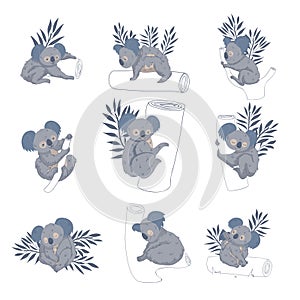 Vector set of adorable koala bears on tree trunks and branches. Australian animal. Wild creature. Wildlife theme