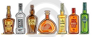 Vector Set of Alcohol Bottles photo