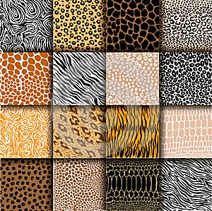 Vector set of animal skin textures of tiger, zebra, giraffe, leopard and cow