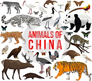 vector set - animals of china