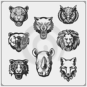 Vector set of animals head. Fox, wolf, tiger, rhino, bear, owl, leopard and lion.