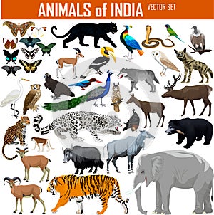 Vector set of animals of India