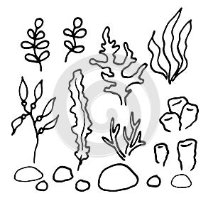 Vector set of aquarium algae and coral, hand-drawn in doodle style . isolated elements with a black line of marine isolated flora