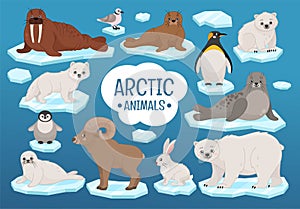 Vector set of arctic animals