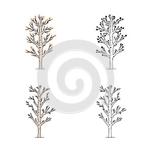 Vector set of aspen tree