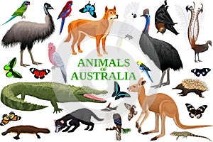 Vector set of Australian animals, birds, reptiles, insects and reptiles.
