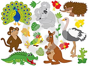 Vector Set of Australian Animals