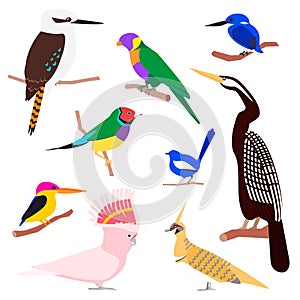 Vector set of australian birds