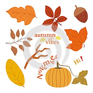 Vector set of autumn elements