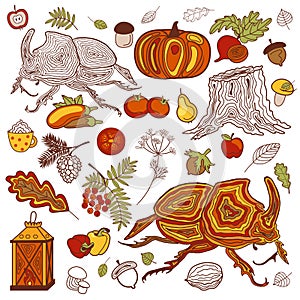 Vector set of autumn elements: falling leaves,vegetables,fruits,mushrooms and funny cartoon insects