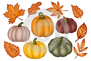 Vector set autumn leaves and pumpkins in watercolor style isolated on white