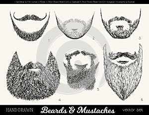 Vector set with beards and mustaches