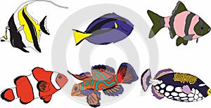 Vector set of beautiful colored fish. Marine inhabitants of the ocean