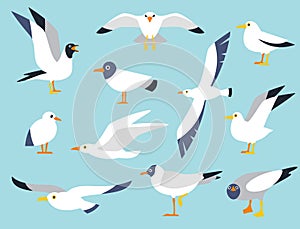 Vector set of beautiful seagulls in a flat style isolated on white background. Sea Gull, a beautiful bird. Cute bird in cartoon