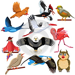 Vector set of birds like eagle, woodpecker, stork, flamingo, parrot and owl