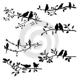 Vector set of birds at tree branches silhouettes