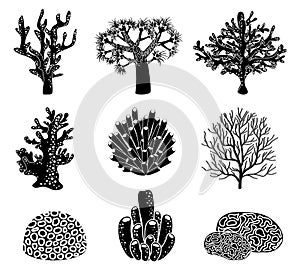 Vector set of black coral silhouettes