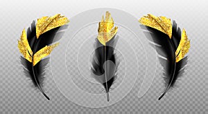 Vector set of black feathers with gold glitter