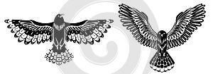 Vector set of black silhouette decorative flying birds. Monochrome cliparts of an owl and hawk with spread wings isolated from