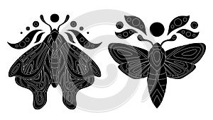 Vector set of black silhouette of sacred mothes with moons. Collection of monochrome outline butterflies clipart. Tracery picture