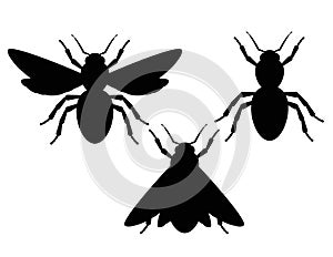 Vector set of black and white silhouettes of insects.