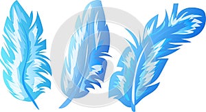 vector set of blue feathers