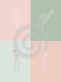 Vector set of botanical illustrations in minimal linear style