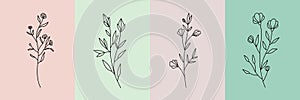 Vector set of botanical illustrations in minimal linear style, hand drawn elegant wildflowers