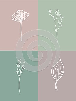 Vector set of botanical illustrations in minimal linear style, hand drawn elegant wildflowers