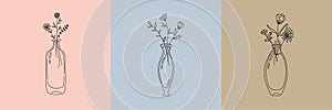 Vector set of botanical illustrations in minimal linear style, lavender flower illustration set