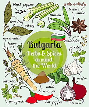 Vector set of Bulgarian herbs and spices.